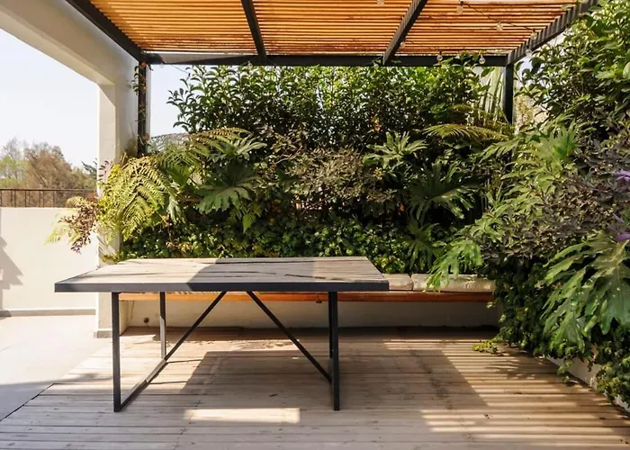 Stunning Penthouse With Terrace In Condesa