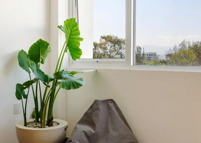 Apartamento Stunning Penthouse With Terrace In Condesa México DF